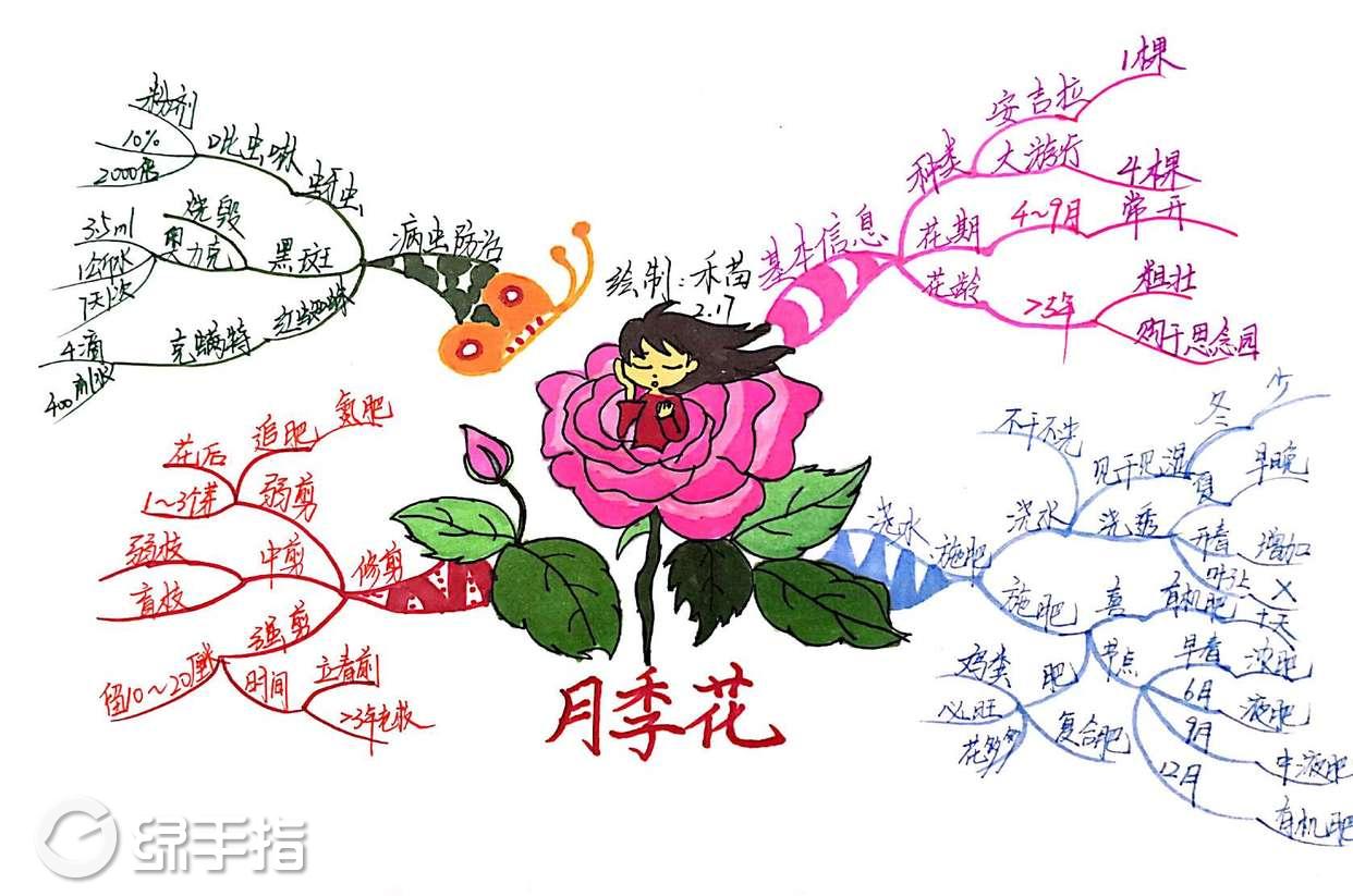 学了一下午怎么种我的花.画张思维导图纪念一下!希望能养好一点!