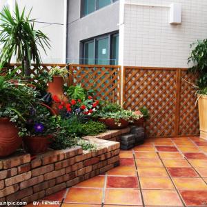 3 Balcony Garden Designs for Inspiration | Small Garden Design Ideas