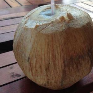 椰子汁的饮用方法与好处