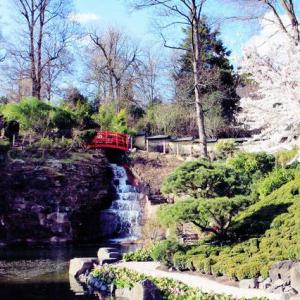 DIY Garden Waterfalls