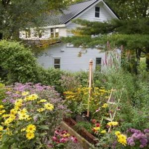 Algunos consejos para crear un jardín