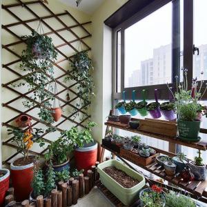 11 Most Essential Rooftop Garden Design Ideas and Tips | Terrace Garden Design