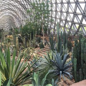 上海辰山植物园的温室…好想挖回去😂