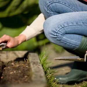 Cómo evitar el damping-off en la siembra
