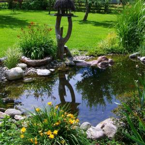 How to Build a Pond; Easily, Cheaply and Beautifully