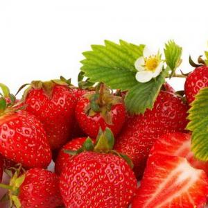 How to Grow Climbing Strawberries