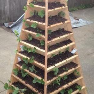 Cómo construir un jardín piramidal