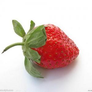 Safe, Natural Insecticides for Strawberries