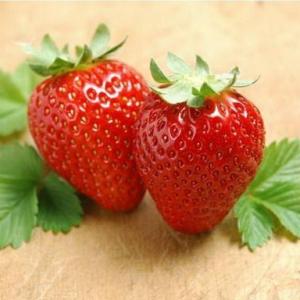 How Much Sun Do Strawberry Plants Need?