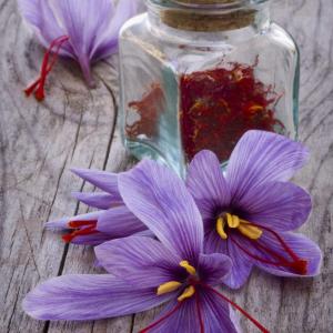 Non Blooming Saffron Crocus – How To Get Saffron Crocus Flowers