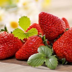 When to Plant Strawberry Plants