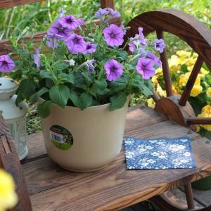 Garden Projects With Pots
