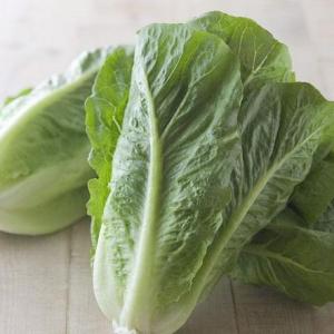 If You Trim Lettuce, Will It Regrow?