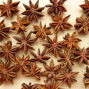 How to Grow Star Anise | Care and Growing Star Anise