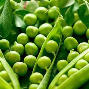 How to Grow Split Peas
