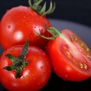 How to Grow Tomatoes in 5-Gallon Buckets