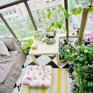 How to Start a Balcony Kitchen Garden | Complete Guide