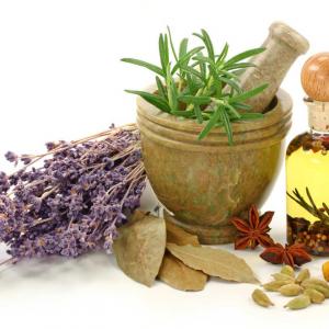 6 remedios caseros con plantas medicinales
