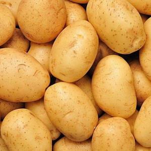 How to Grow Yukon Gold Potatoes