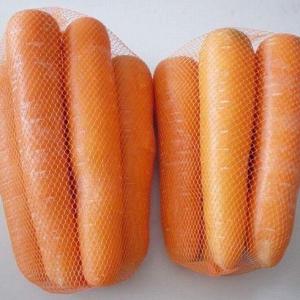Carrot Companion Planting | Companion plants for Carrots
