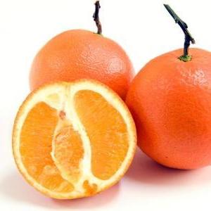 みかん（オレンジ）｜花言葉・由来・意味