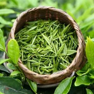绿茶品种，原来它们也属于绿茶的一种！