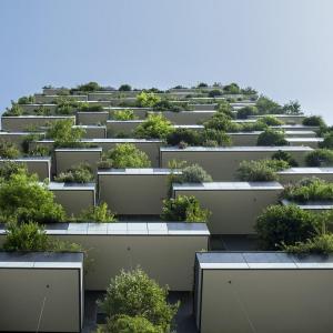 Vertical Balcony Garden Ideas