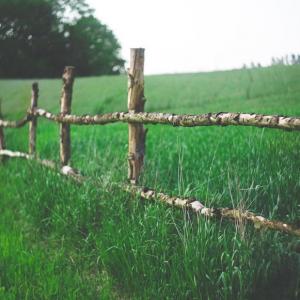 Got Ugly Metal Fence Posts? DIY Garden Project Cure!