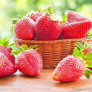 How to Grow Strawberries in a Hanging Basket