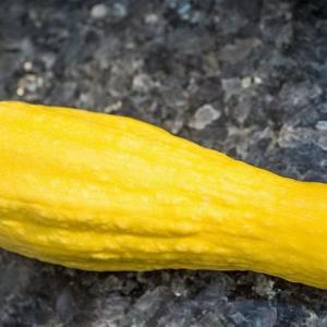 How to Know When Yellow Squash Is Ripe