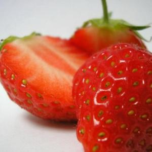 10 consejos para cultivar fresas