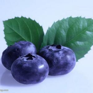 The Differences Between Blueberries and Black Currants