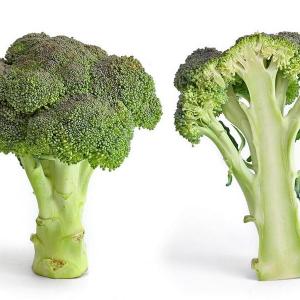Consejos para el cultivo ecológico del brócoli