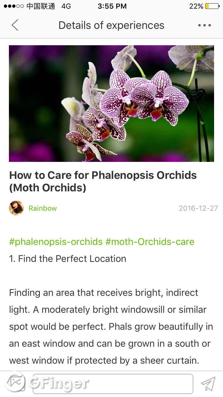 You can find it in Discover->latest article->how to care for Phalenopsis