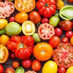 进口辣椒、番茄几百个品种，小苗已成熟，成活率高，喜欢来[色]喜欢撩我，微信同、电话:18318792600  可发全国[得意]