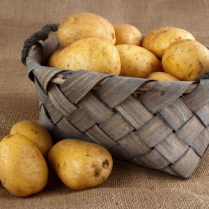 How to Grow Potatoes in a Bucket