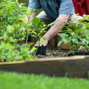 7 Ways to Make Fertilizer at Home