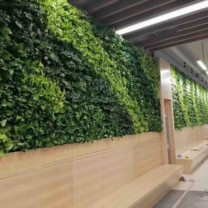 畅泽垂直绿化生态植物墙厂家直销13976682009