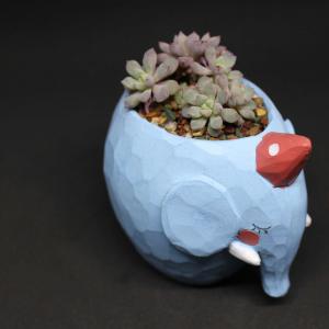 我新添加了一棵“蓝宝石小象”到我的“花园”