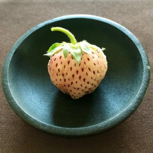 I ate my first pineberry! I think it was a little over ripe but it had a hint of pineapple. I can't wait to have more!