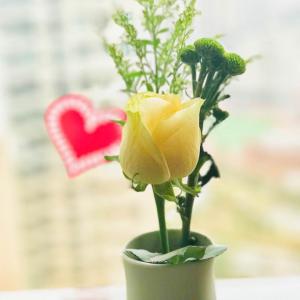 我新添加了一棵“黄玫瑰/情人草/乒乓菊”到我的“花园”