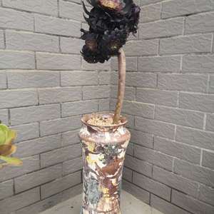 我新添加了一棵“黑铜壶”到我的“花园”