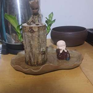 我新添加了一棵“巴西木”到我的“花园”